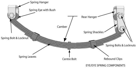 eye-eye-spring.jpg