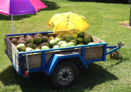watermelon-trailer.jpg